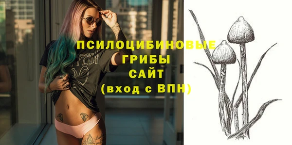 МДПВ Россошь