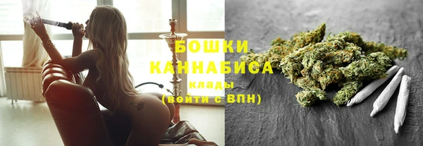 индика Ростов
