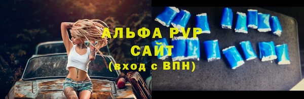 индика Ростов