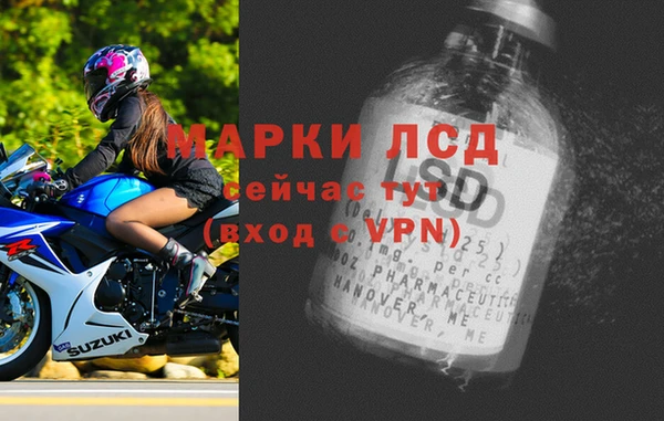 индика Ростов