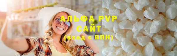 индика Ростов