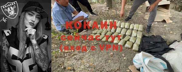 индика Ростов