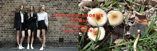 МДПВ Россошь