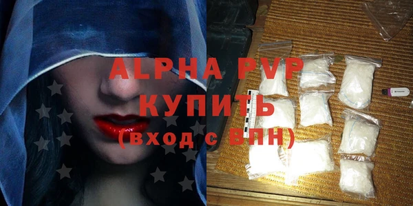 индика Ростов