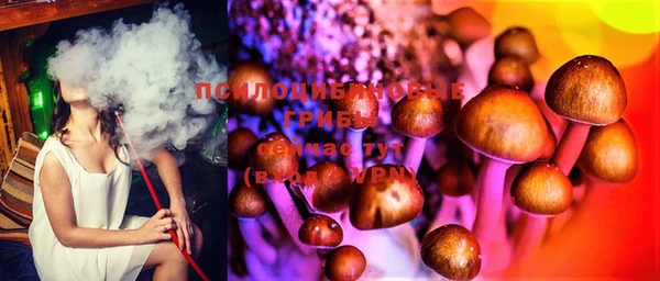 мяу мяу мука Сатка