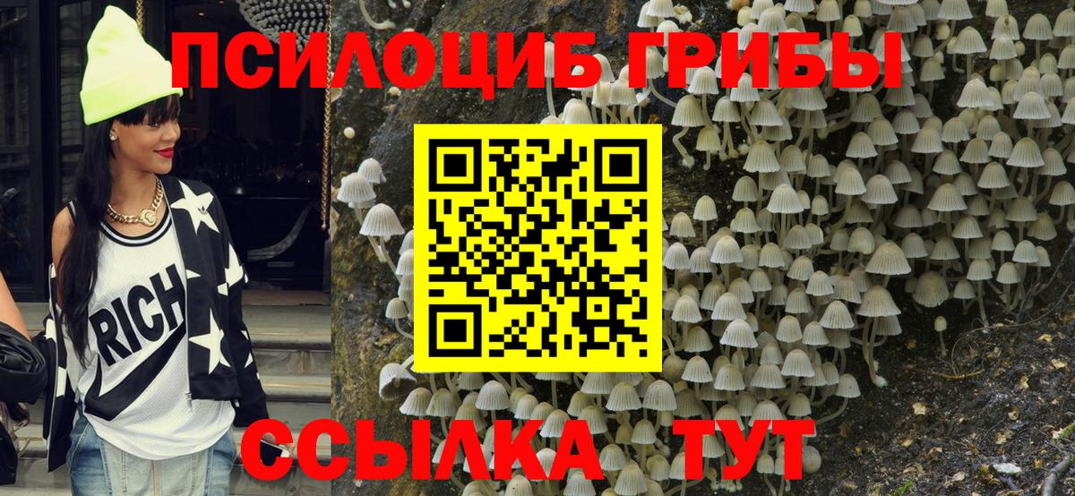 Галлюциногенные грибы мухоморы  Вход с VPN  Сызрань  Псилоцибиновые грибы мухоморы 